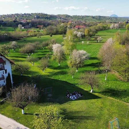 Pensiunea din Livada Bran  Esterno foto