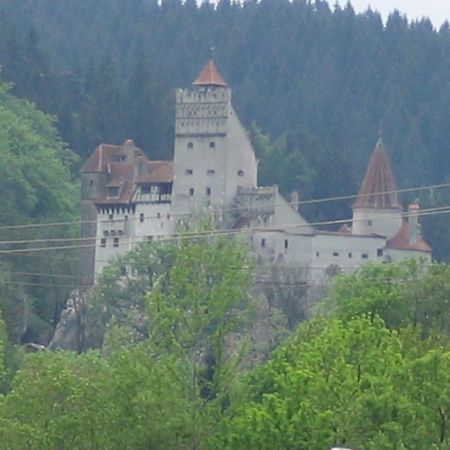Pensiunea din Livada Bran  Esterno foto