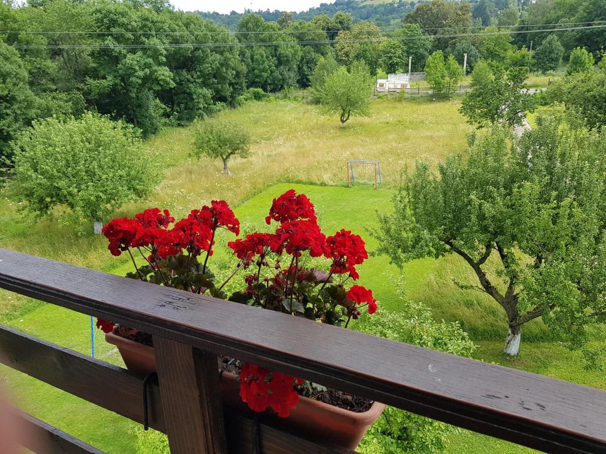 Pensiunea din Livada Bran  Esterno foto