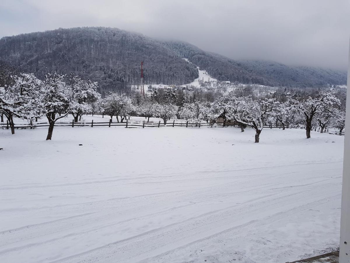 Pensiunea din Livada Bran  Esterno foto