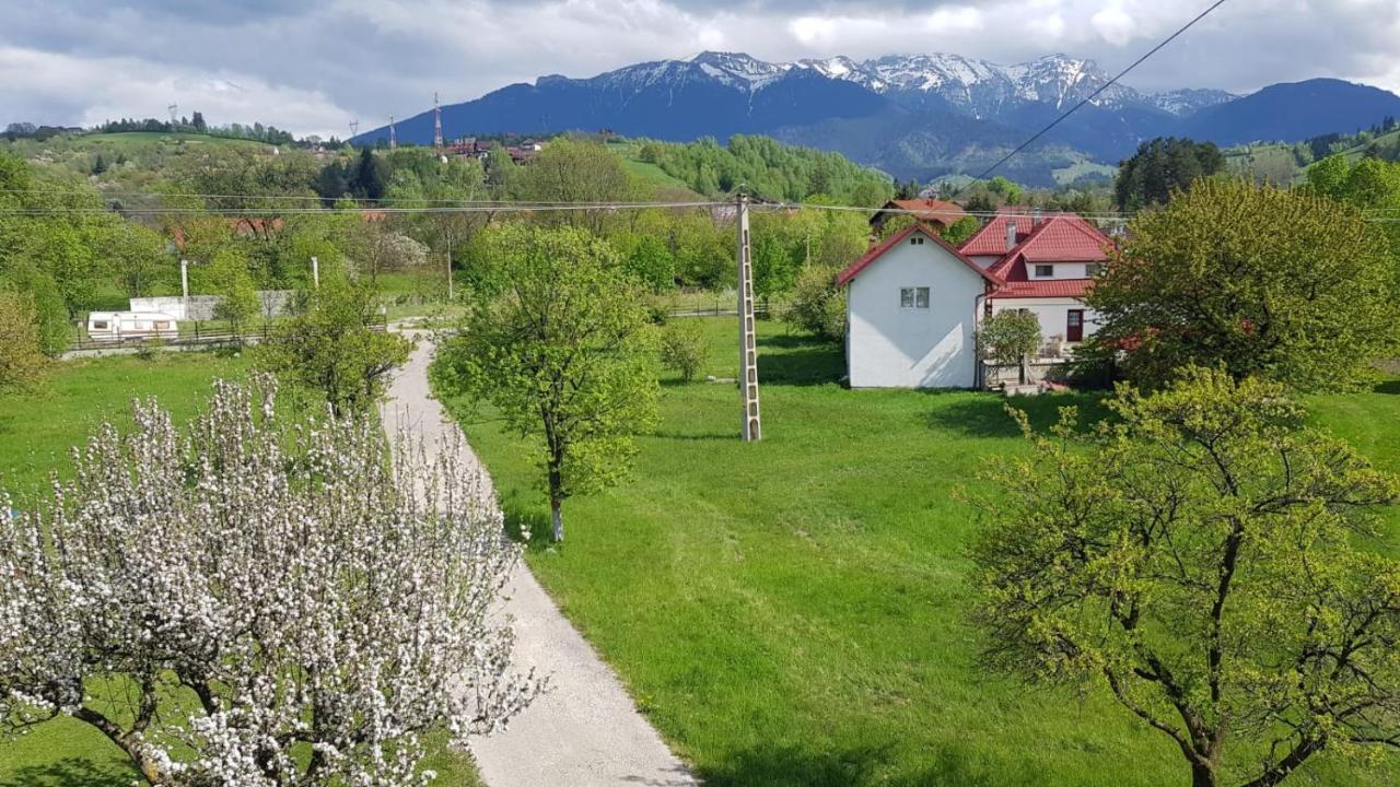 Pensiunea din Livada Bran  Esterno foto