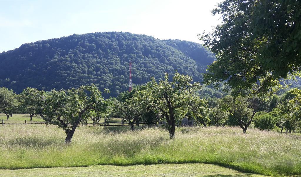 Pensiunea din Livada Bran  Esterno foto